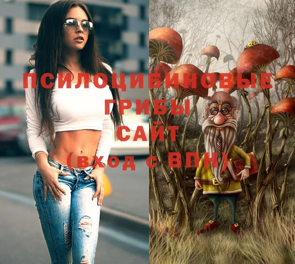 героин Алексин