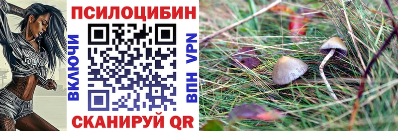 где продают наркотики  Протвино  Галлюциногенные грибы Cubensis 